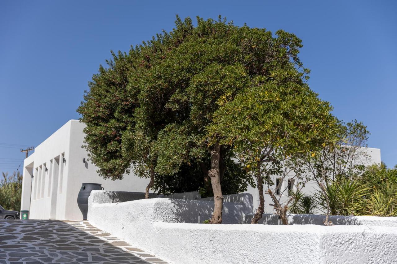 Naxos Green Village Hotel Naxos City Екстер'єр фото